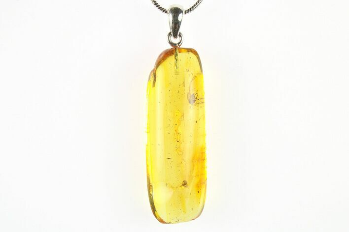 Polished Baltic Amber Pendant (Necklace) - Contains Fly & Spider! #275702